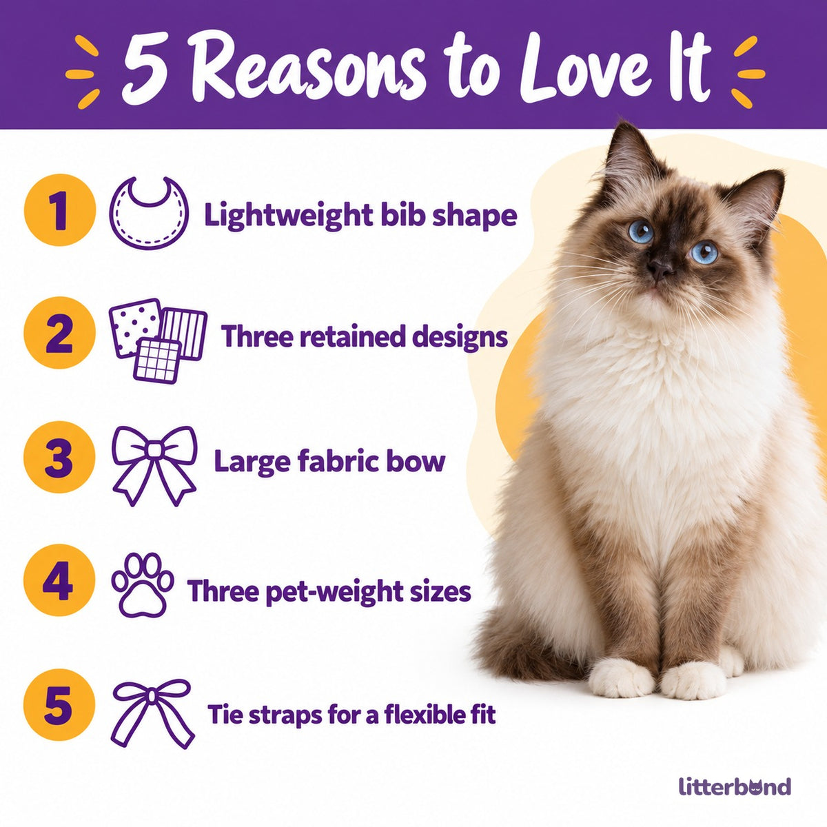 Bow Bib Collar for Photos - 5 reasons to love it