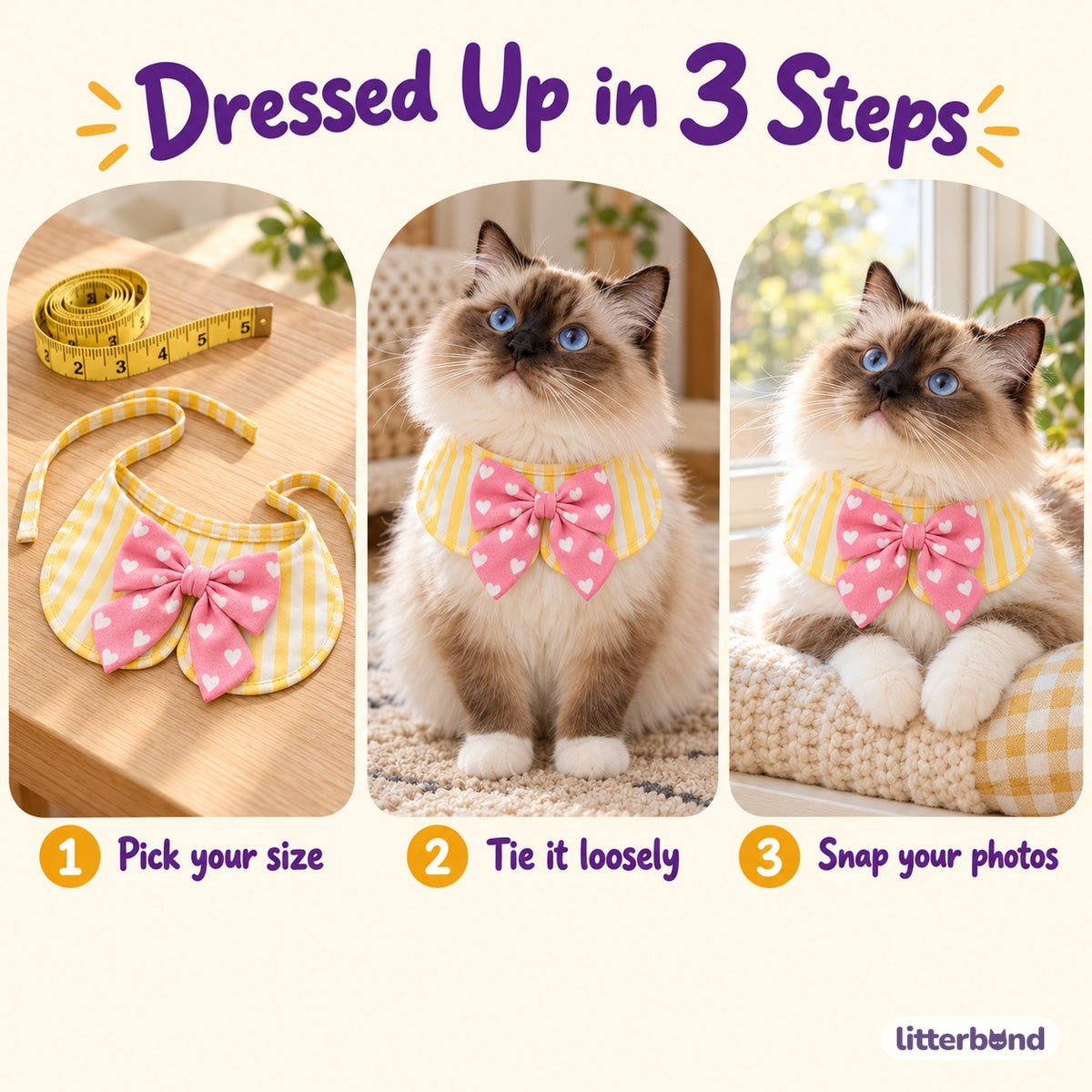 Bow Bib Collar for Photos - how to put it on