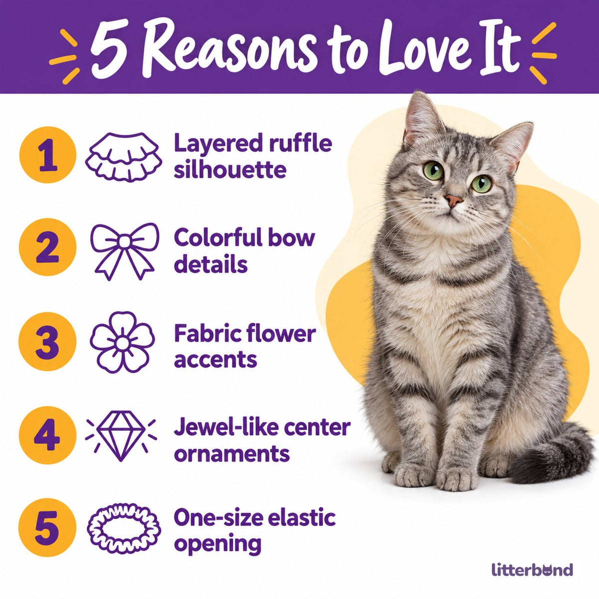 Luxury Lace Bib Collar for Photos - 5 reasons to love it