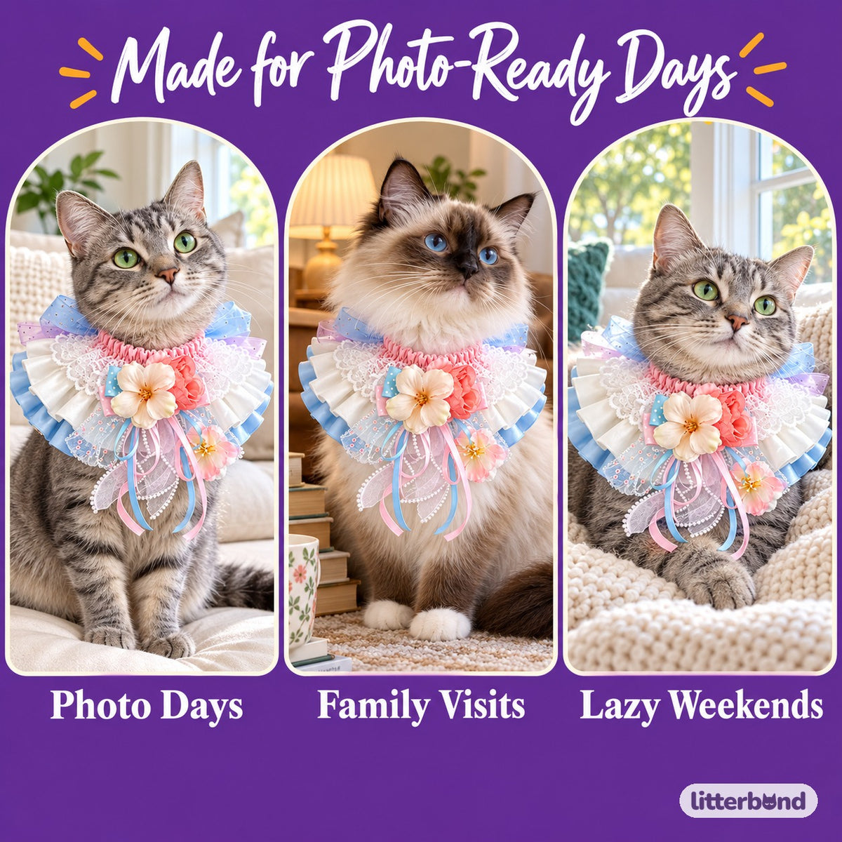 Luxury Lace Bib Collar for Photos on a cat at home