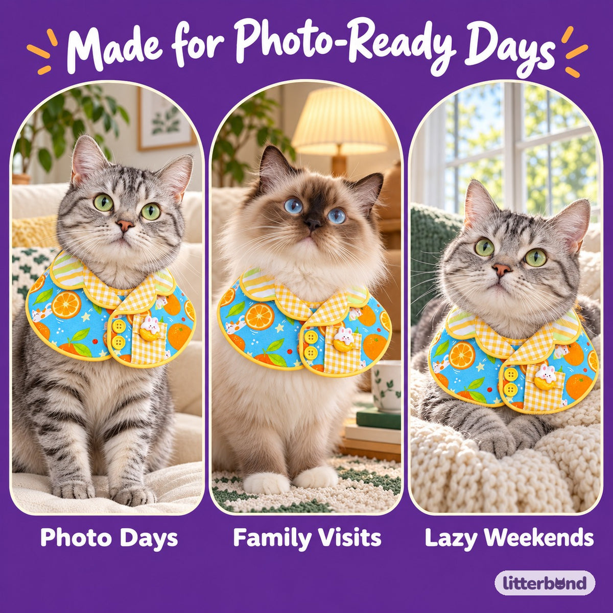 Fruit Print Plaid Bib Collar on a cat at home
