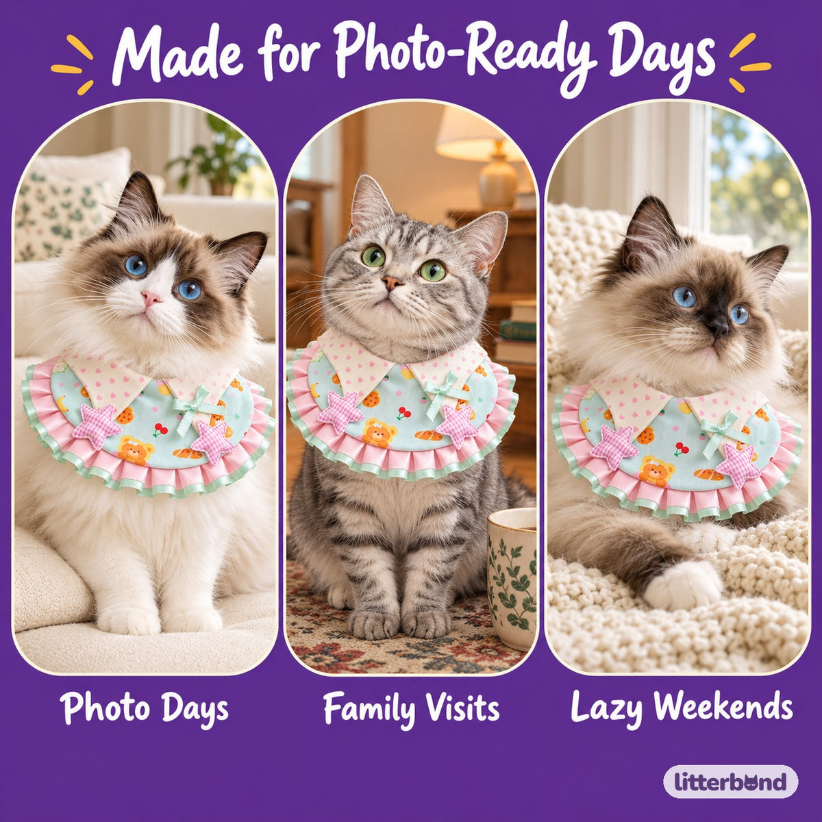 Pastel Star Ruffle Bib Collar on a cat at home