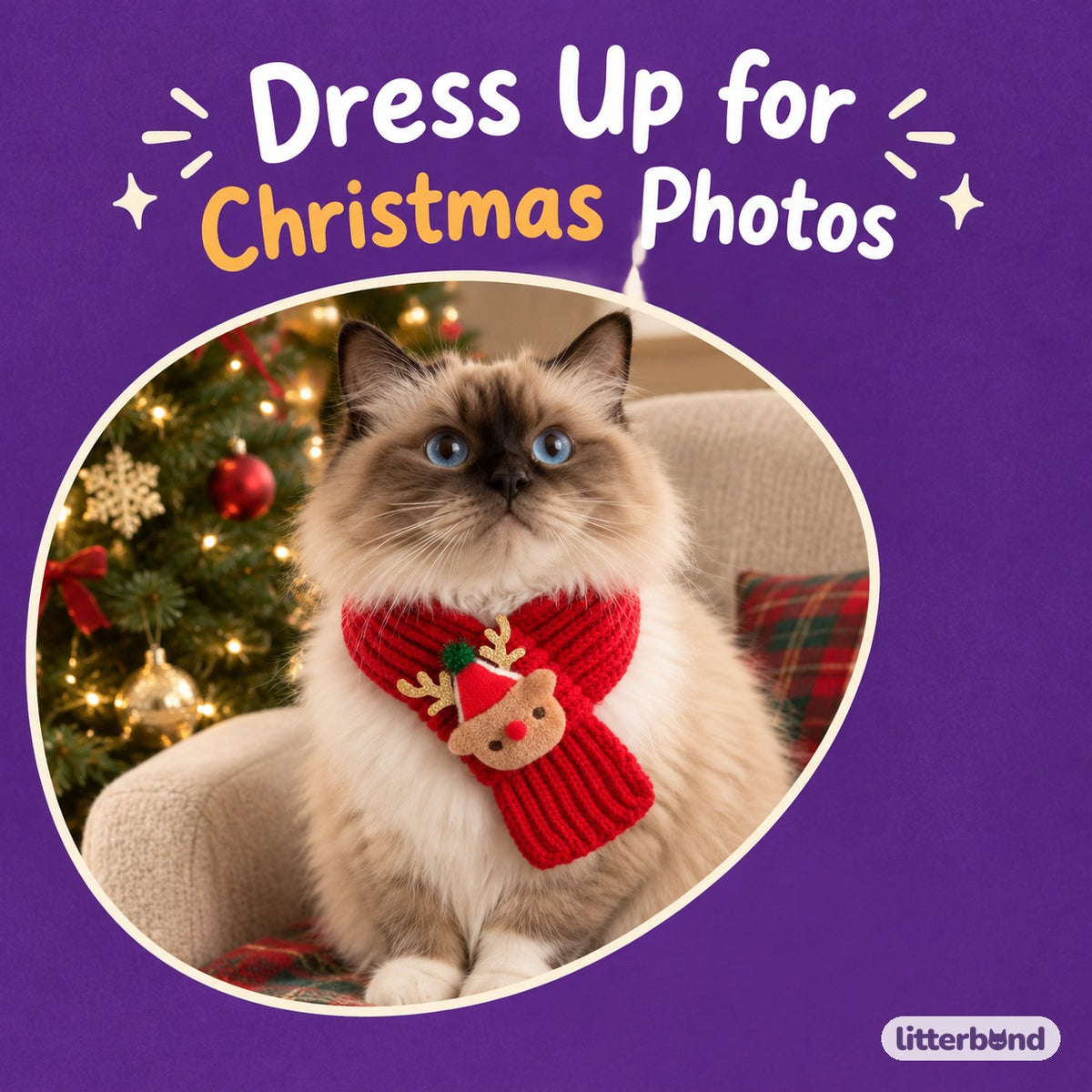 Pull-Through Christmas Knit Scarf on a cat