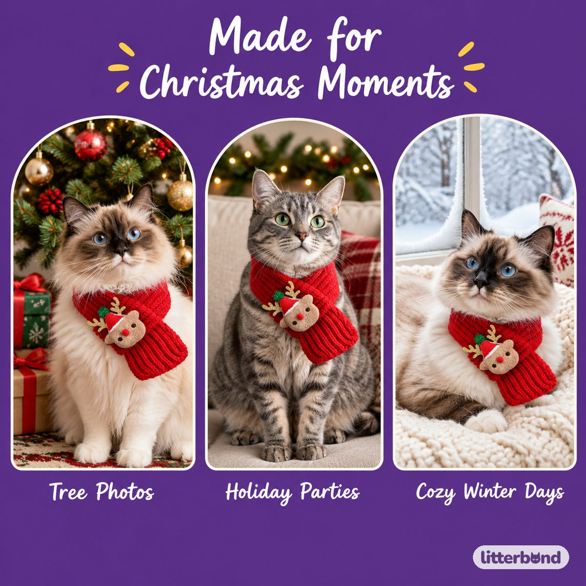 Pull-Through Christmas Knit Scarf on a cat at home