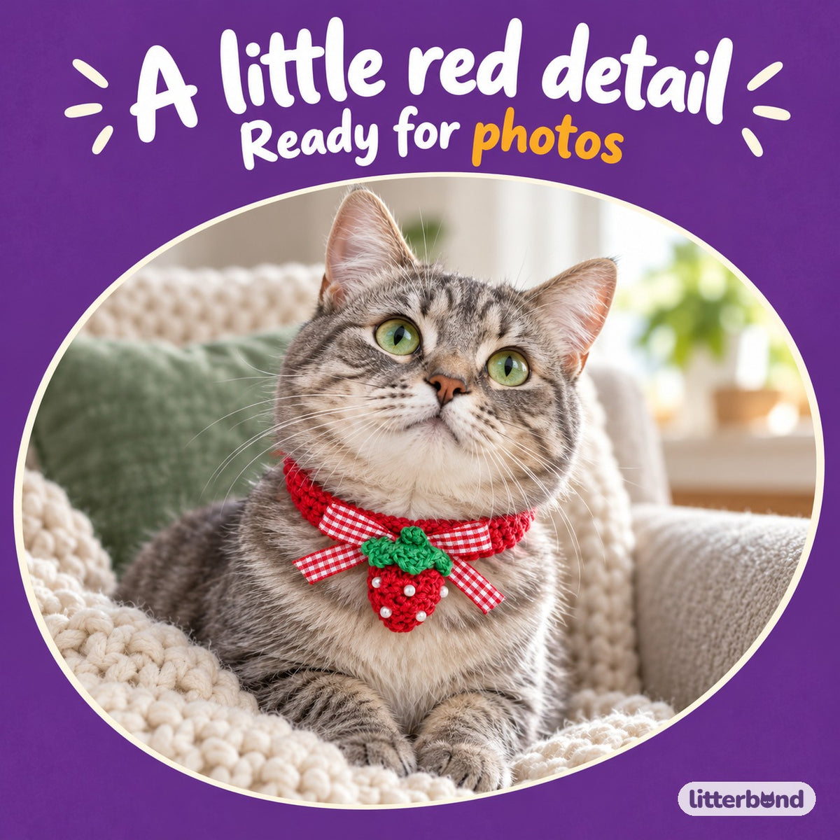 Red Bow Crochet Collar for Photos on a cat