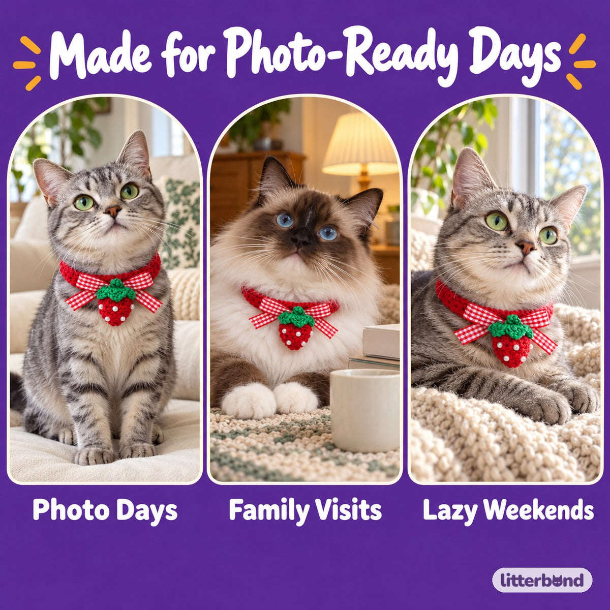 Red Bow Crochet Collar for Photos on a cat at home