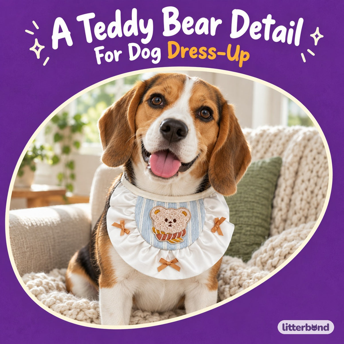 Teddy Bear Ruffle Bib for Photos on a cat