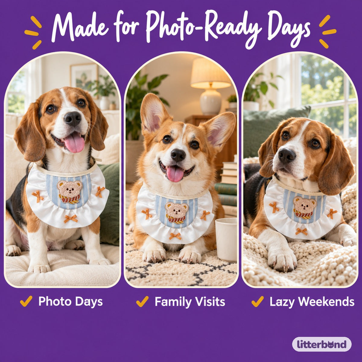 Teddy Bear Ruffle Bib for Photos on a cat at home
