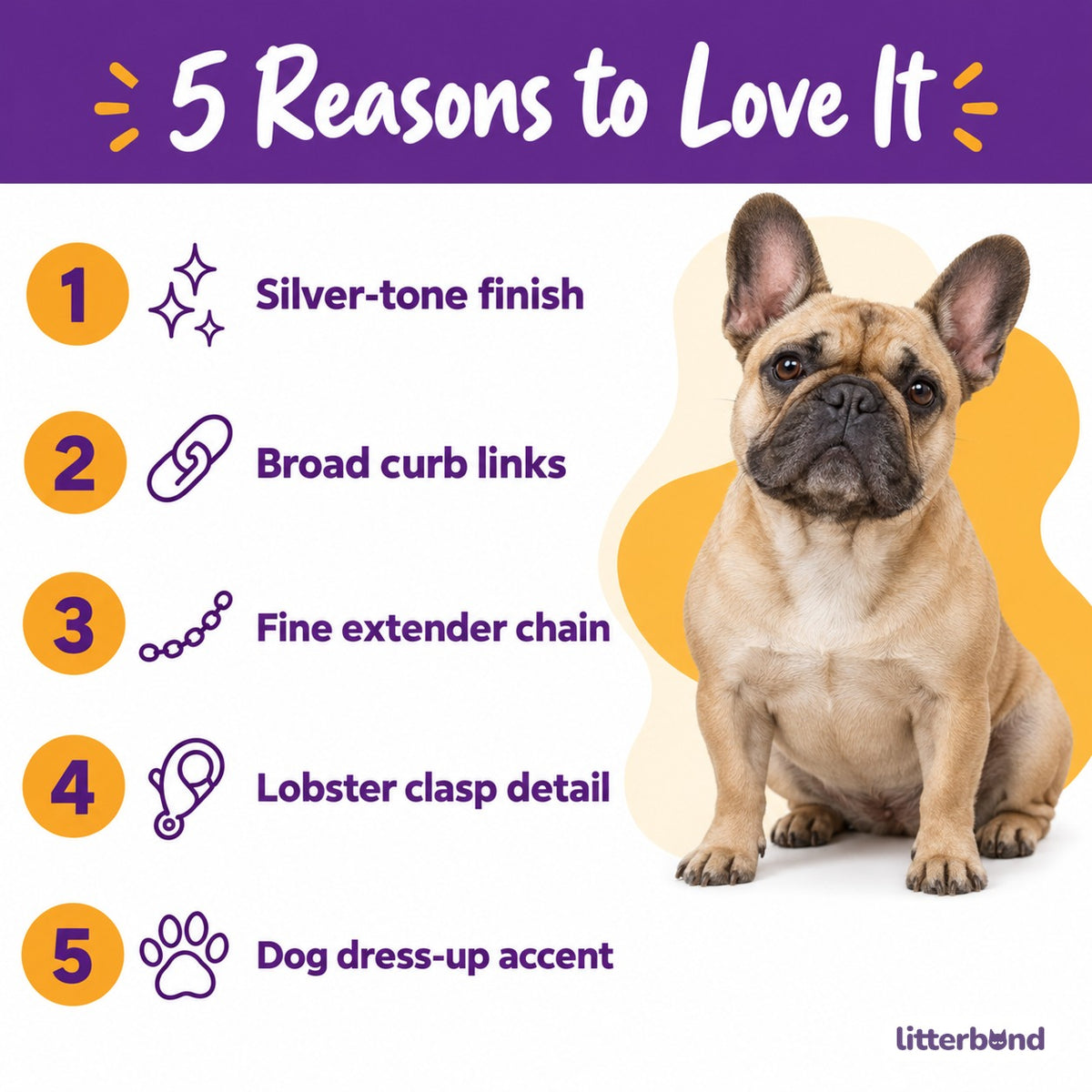Silver Curb Necklace for Dog Photos - 5 reasons to love it