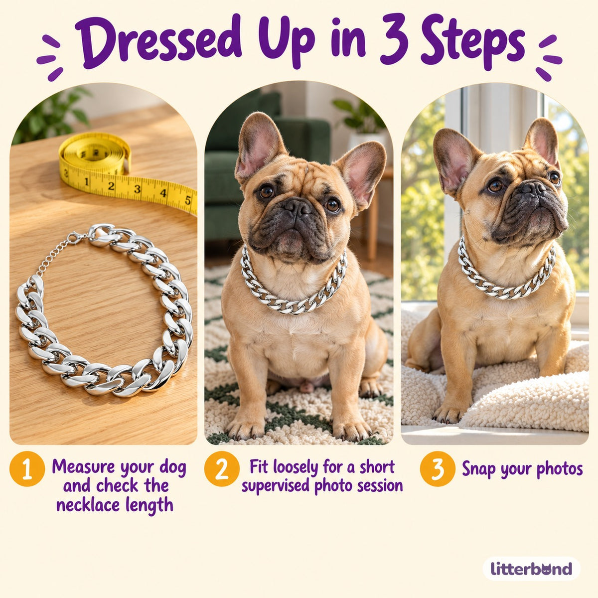Silver Curb Necklace for Dog Photos - how to put it on