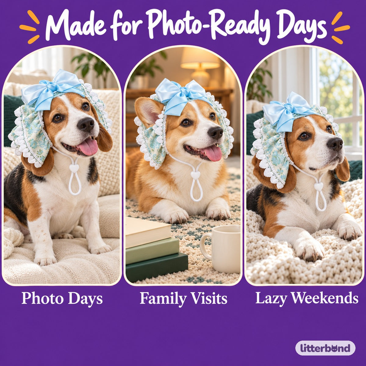 Bow Ear Cover for Dog Photos on a cat at home