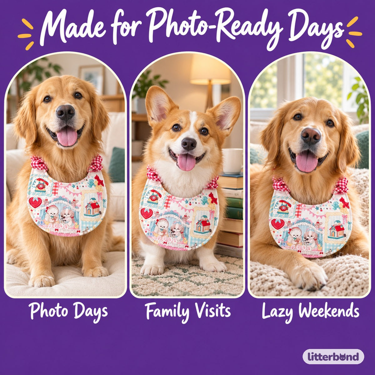 Printed Dog Bib for Photos on a cat at home