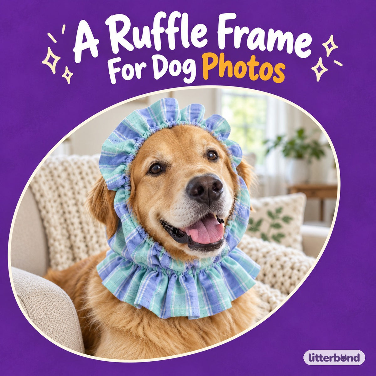 Ruffle Ear Snood for Dog Photos on a cat