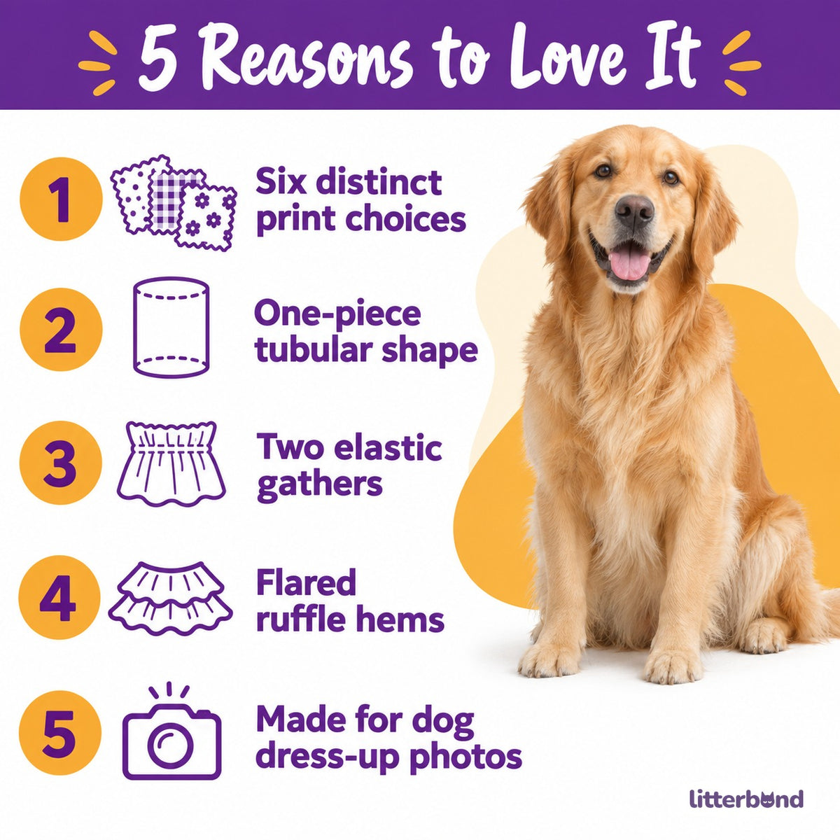 Ruffle Ear Snood for Dog Photos - 5 reasons to love it
