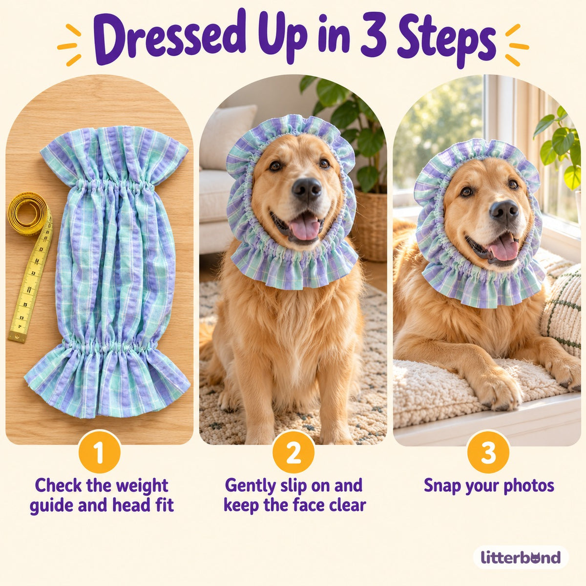 Ruffle Ear Snood for Dog Photos - how to put it on