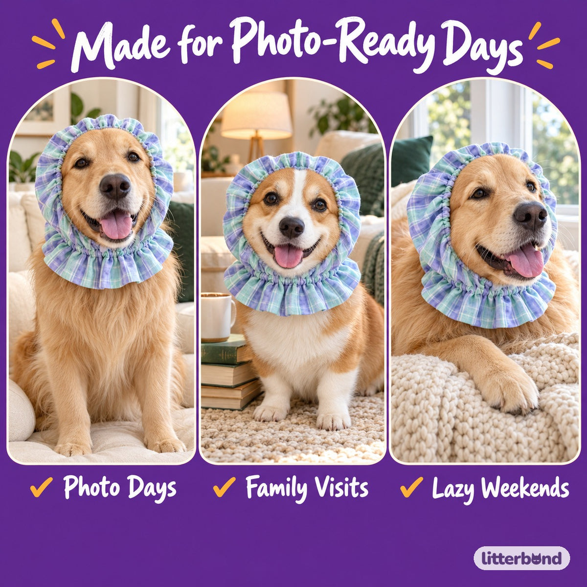 Ruffle Ear Snood for Dog Photos on a cat at home