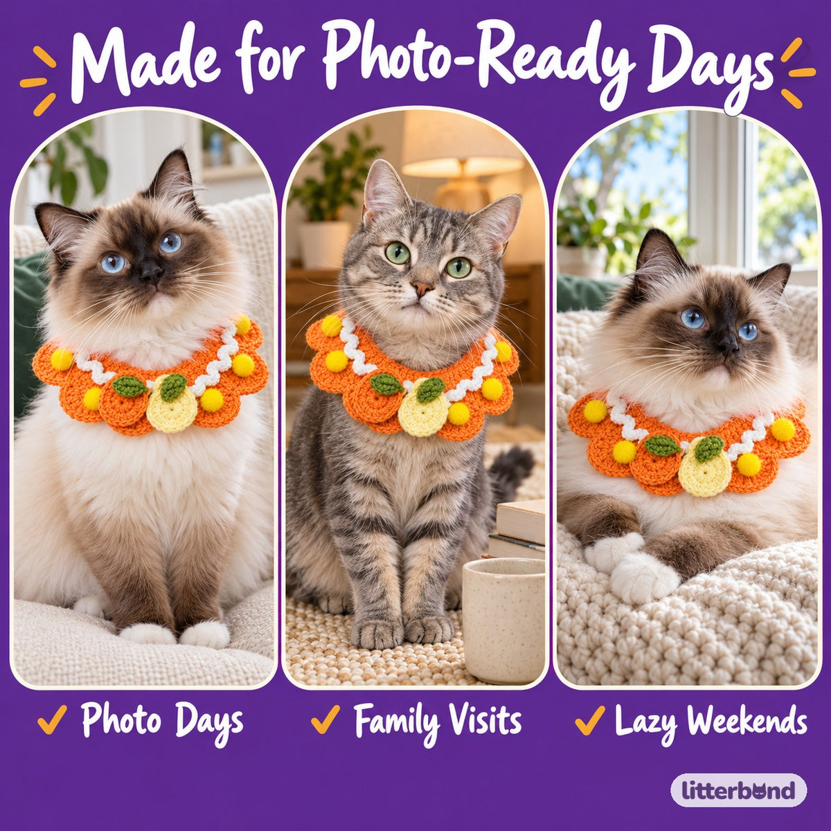 Citrus Crochet Collar for Photos on a cat at home