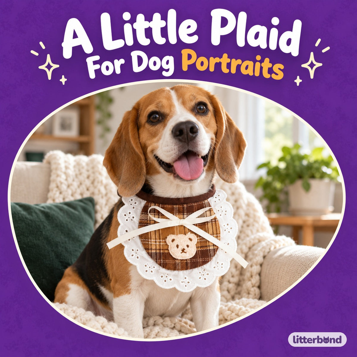 Plaid Bear Bib for Dog Photos on a cat
