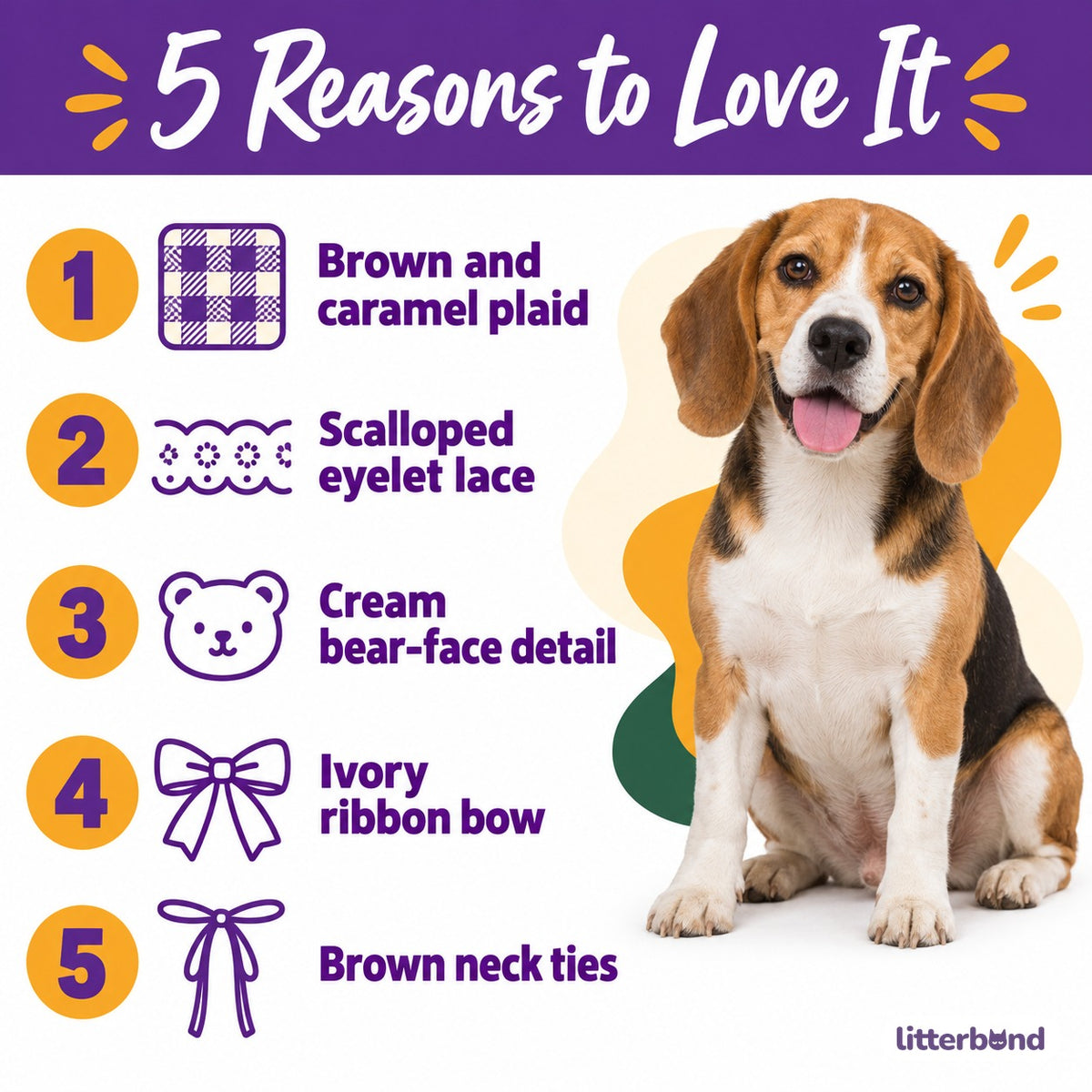 Plaid Bear Bib for Dog Photos - 5 reasons to love it