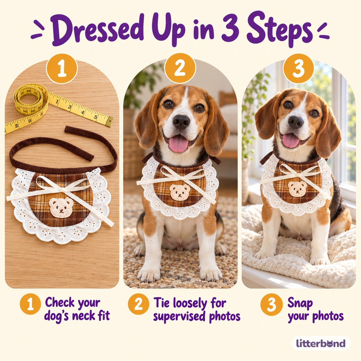 Plaid Bear Bib for Dog Photos - how to put it on