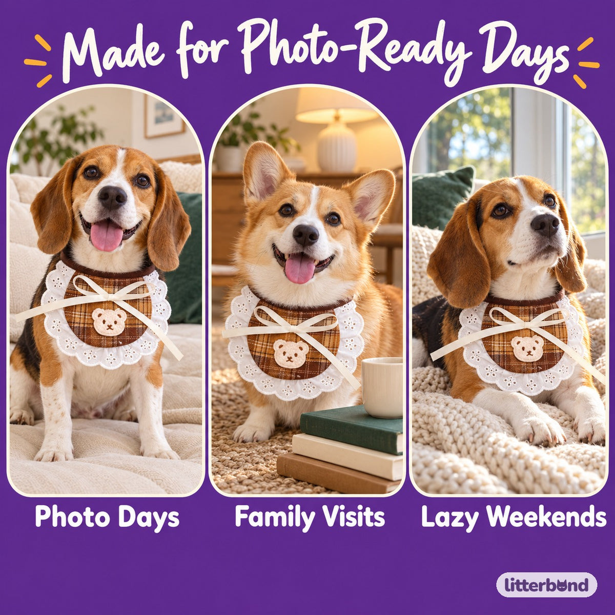 Plaid Bear Bib for Dog Photos on a cat at home