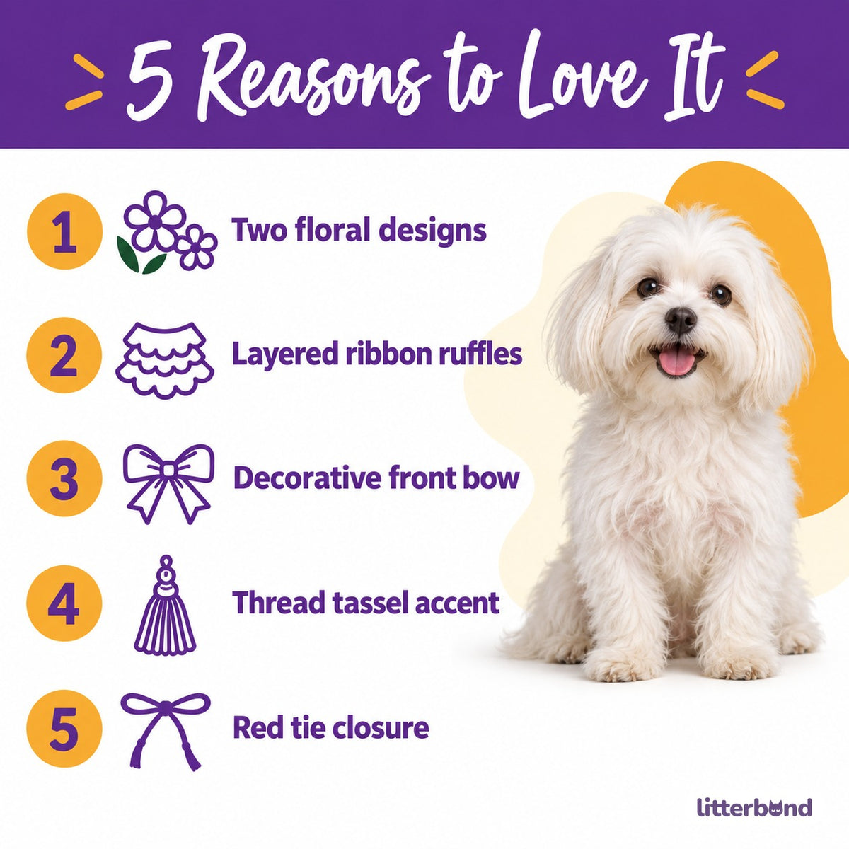 Floral Tassel Collar for Dog Photos - 5 reasons to love it