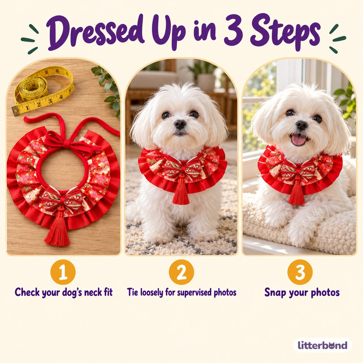Floral Tassel Collar for Dog Photos - how to put it on