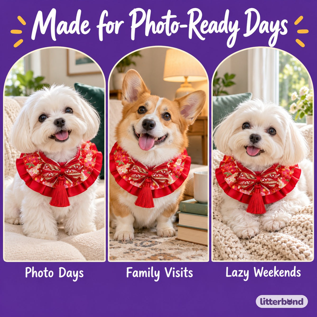 Floral Tassel Collar for Dog Photos on a cat at home