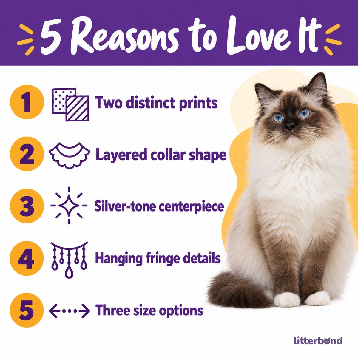 Silver Fringe Bib for Photos - 5 reasons to love it
