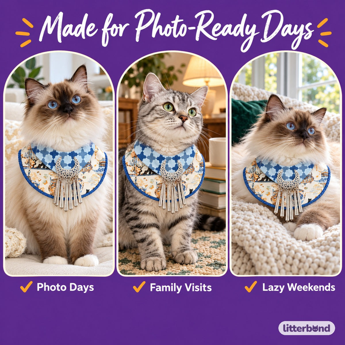 Silver Fringe Bib for Photos on a cat at home