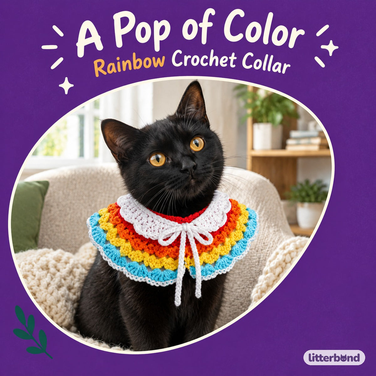 Rainbow Crochet Collar on a cat