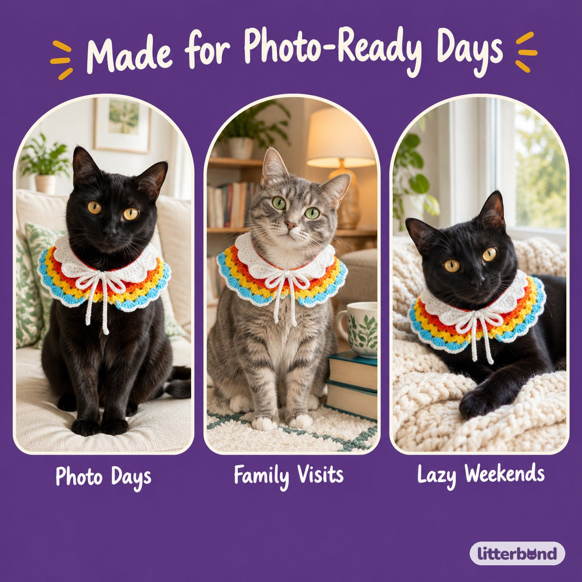 Rainbow Crochet Collar on a cat at home