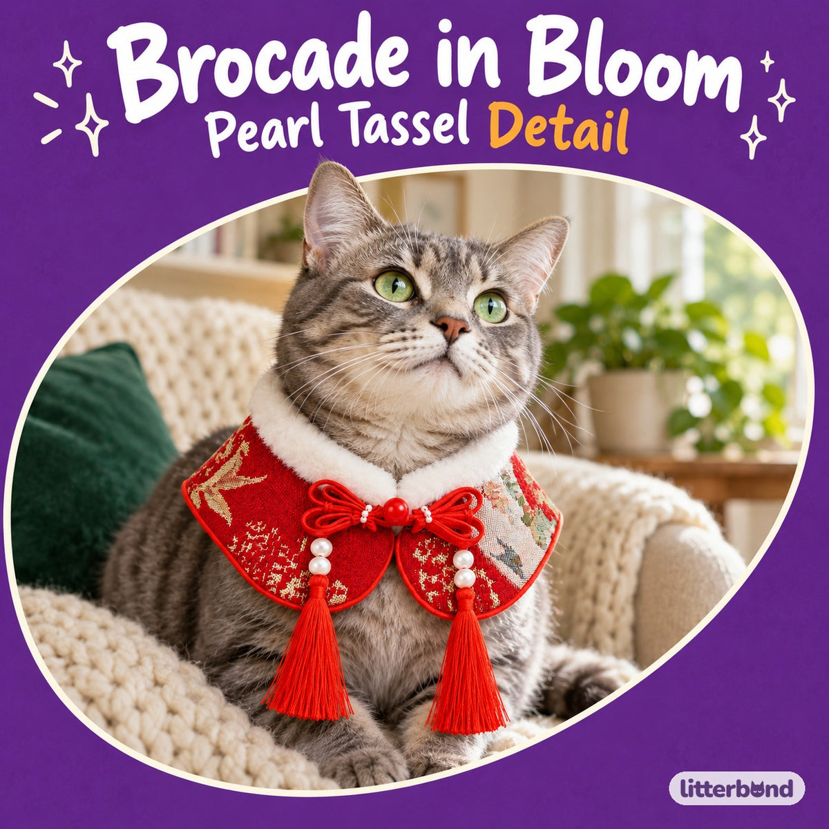 Brocade Tassel Collar Bib for Photos on a cat