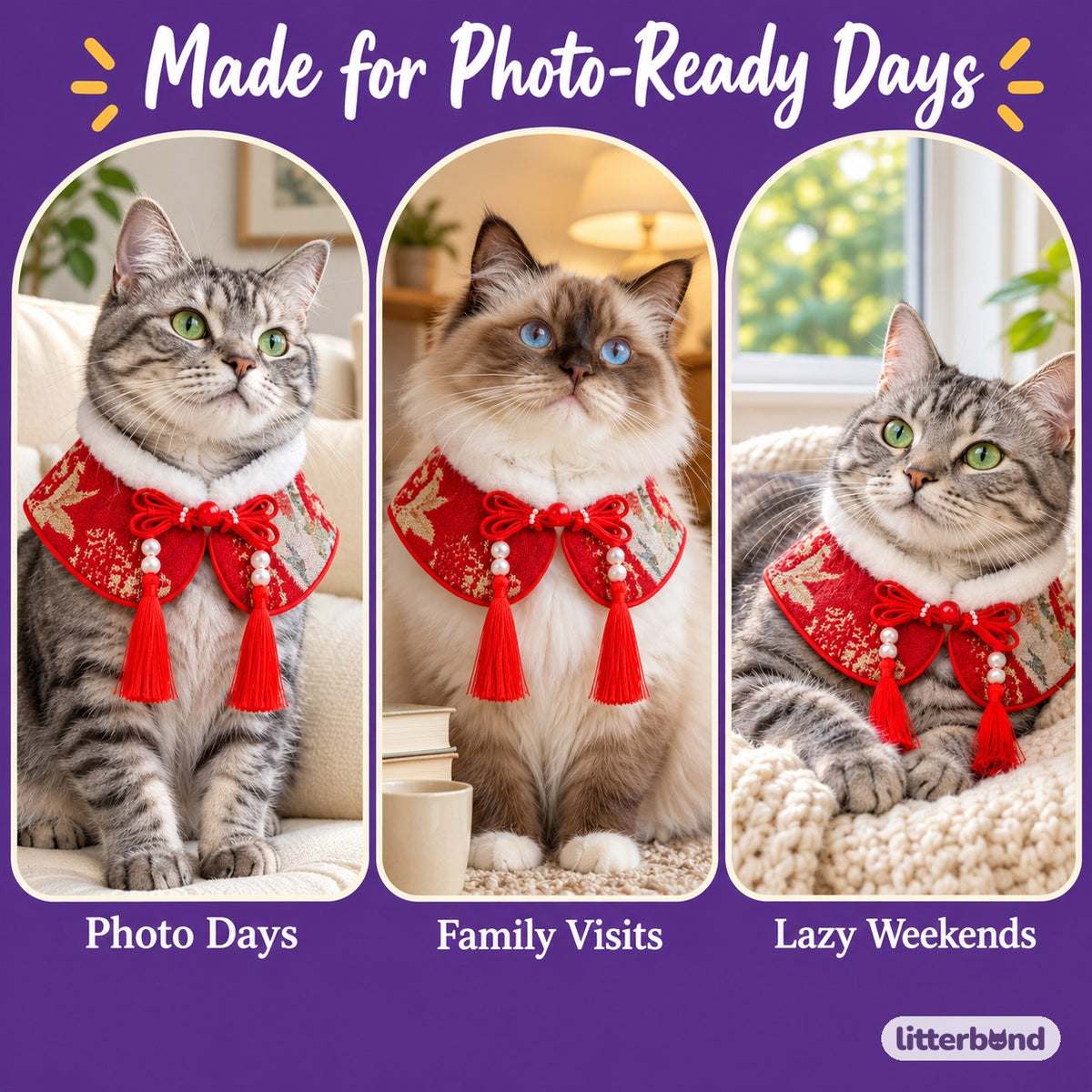 Brocade Tassel Collar Bib for Photos on a cat at home