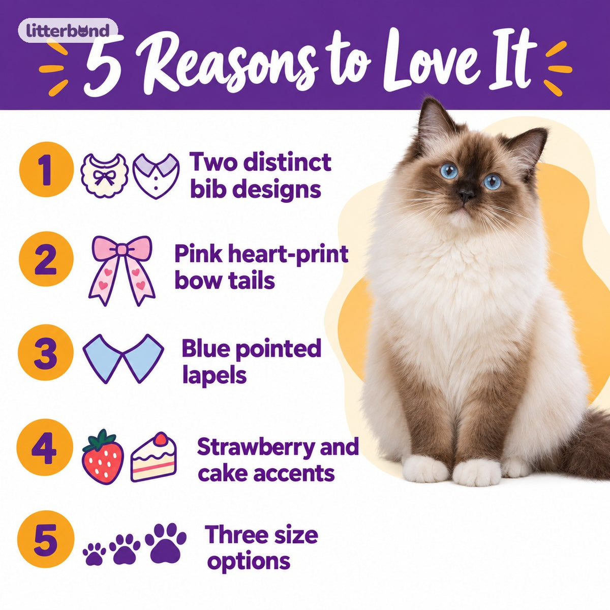 Dessert Bib Collars for Birthday Photos - 5 reasons to love it