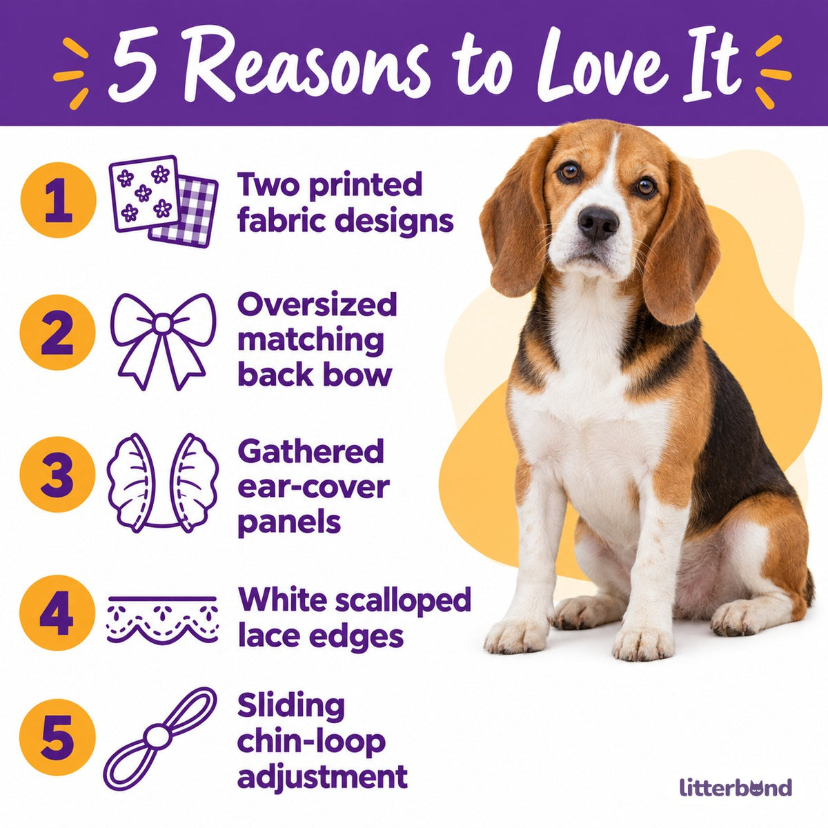 Bow Ear Covers for Dog Photos - 5 reasons to love it