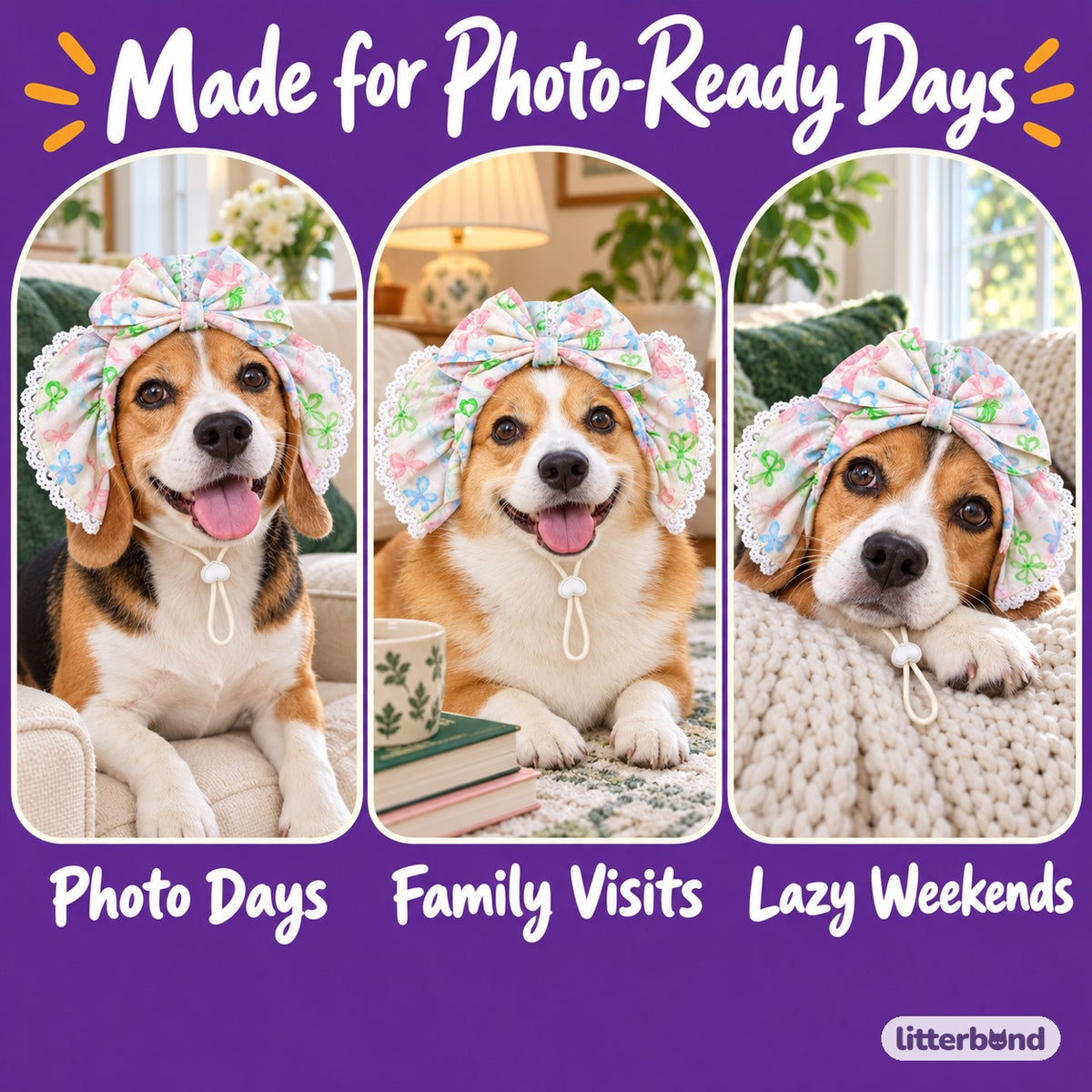 Bow Ear Covers for Dog Photos on a cat at home