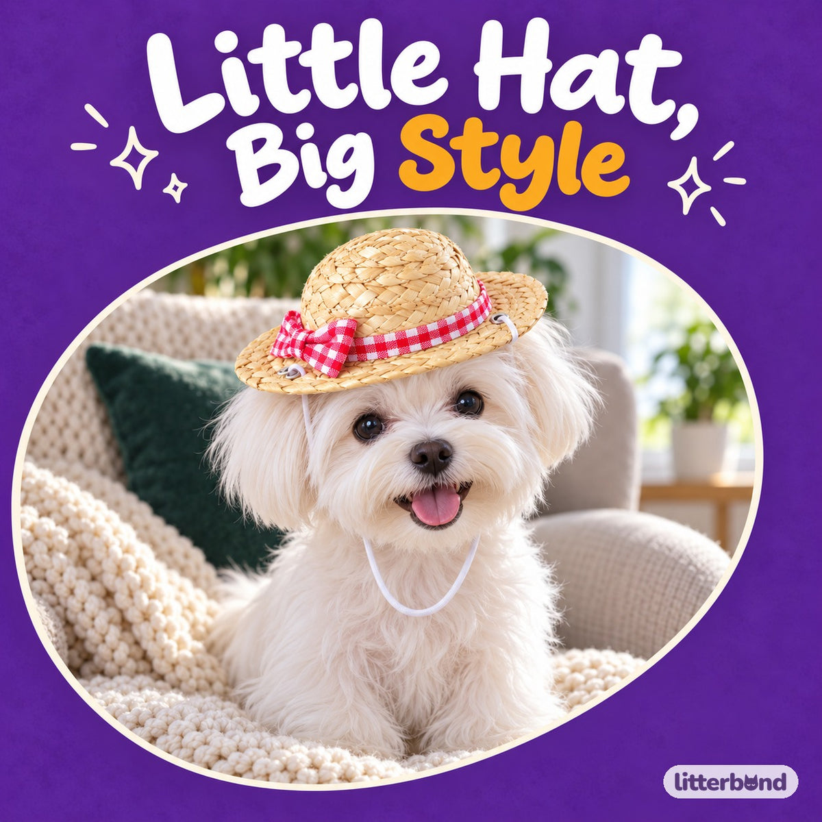 Gingham Straw Hat for Dog Photos on a cat