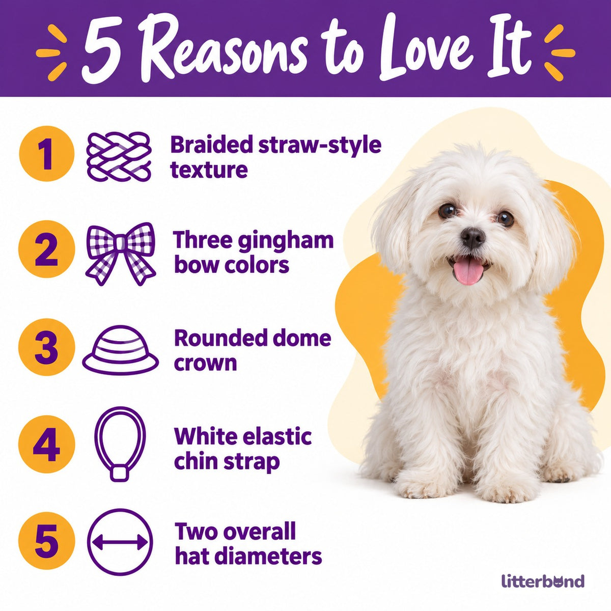 Gingham Straw Hat for Dog Photos - 5 reasons to love it