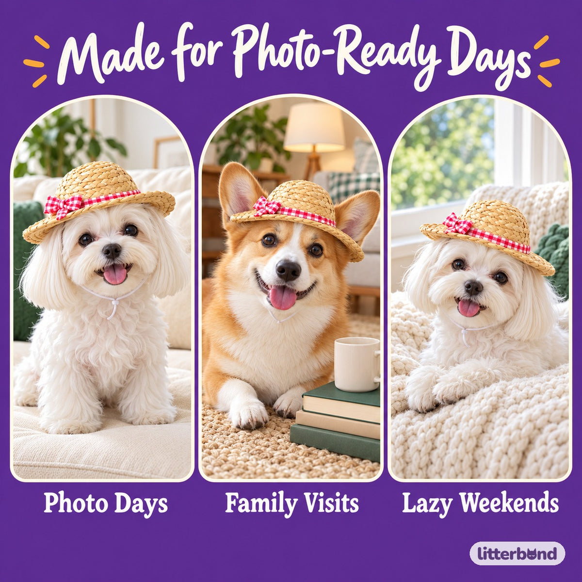 Gingham Straw Hat for Dog Photos on a cat at home