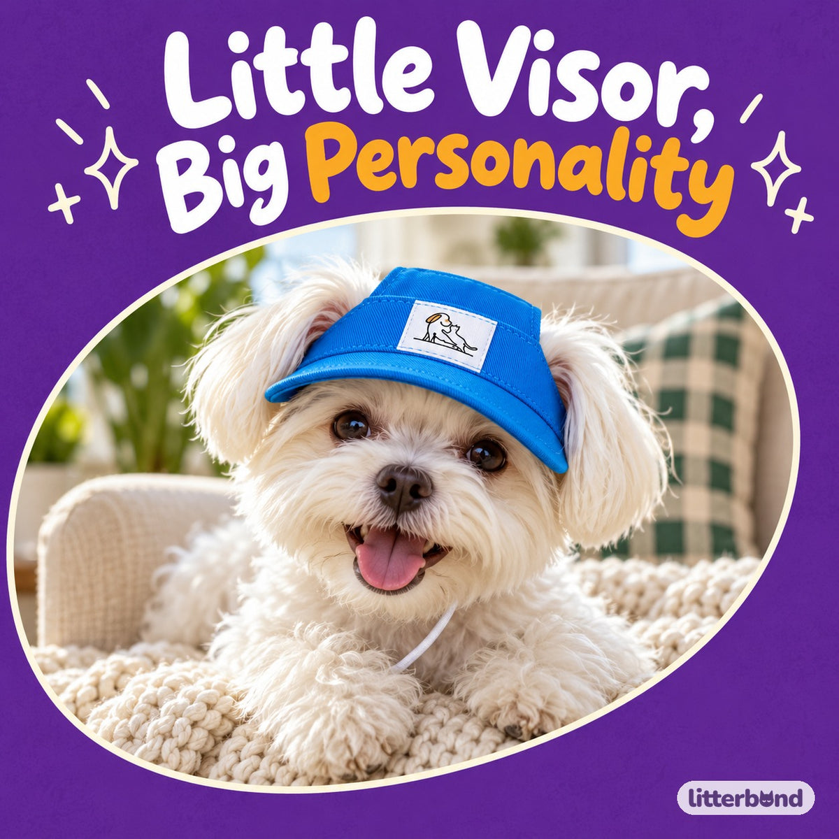 Color Pop Visor Cap for Photos on a cat