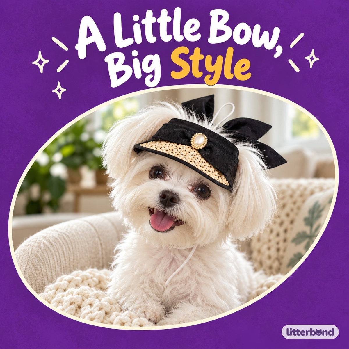 Black Bow Visor for Photos on a cat