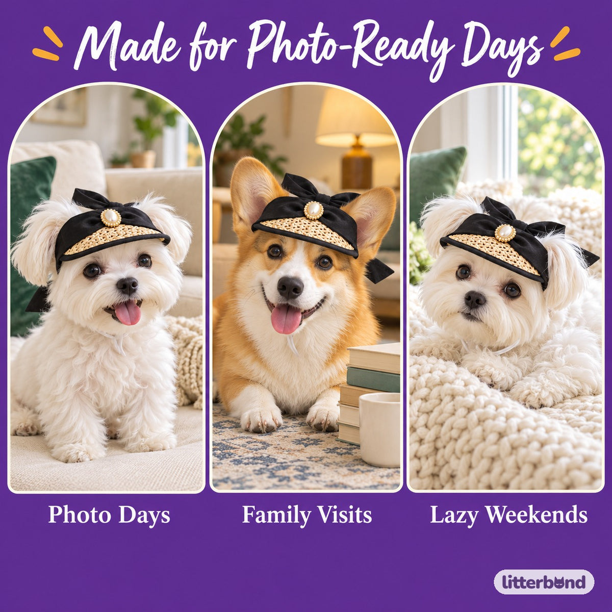 Black Bow Visor for Photos on a cat at home