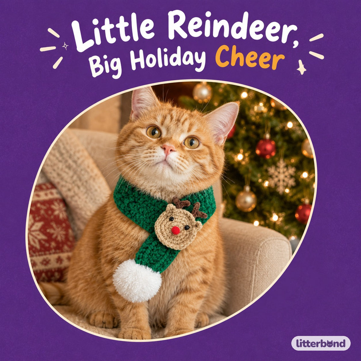 Reindeer Crochet Scarf on a cat