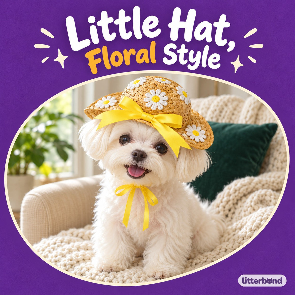Daisy & Cherry Hat for Photos on a cat