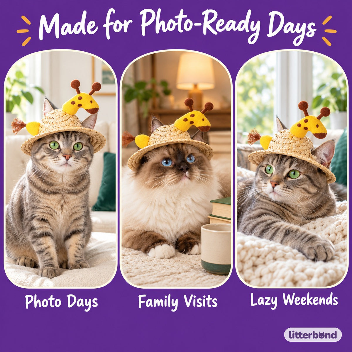 Plush Straw Hat for Photos on a cat at home