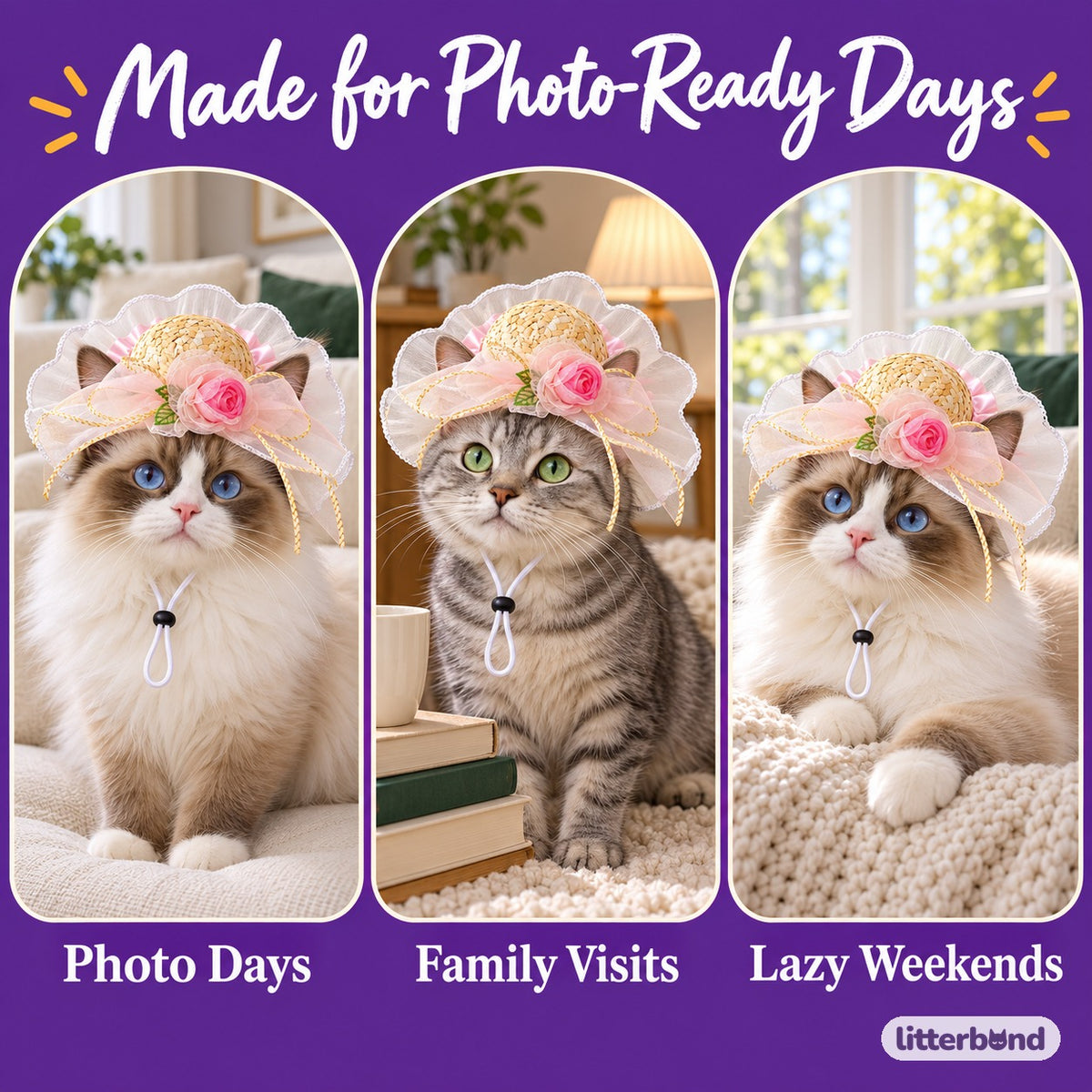Rose Ruffle Straw Hat for Photos on a cat at home