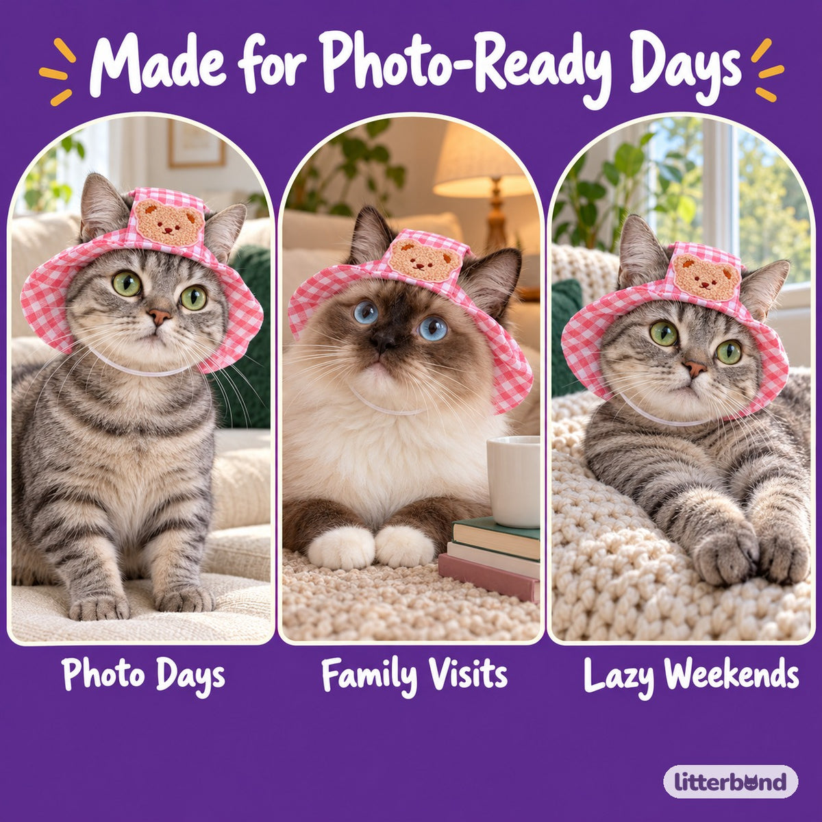 Gingham Bear Hat for Photos on a cat at home
