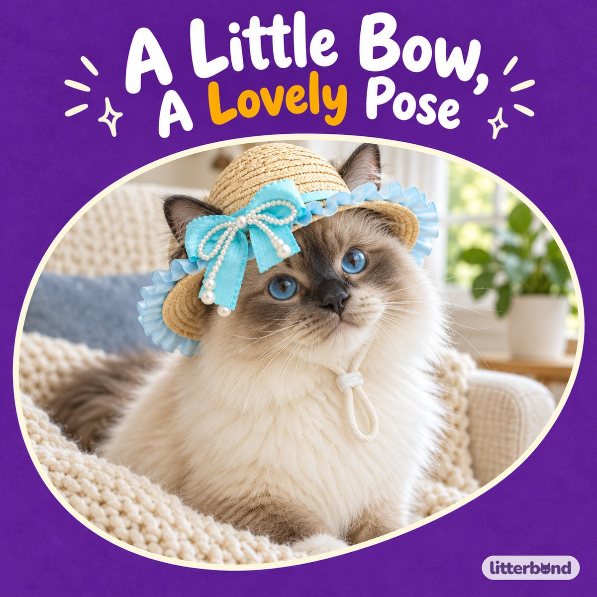 Pearl-Bow Ruffle Hat for Photos on a cat