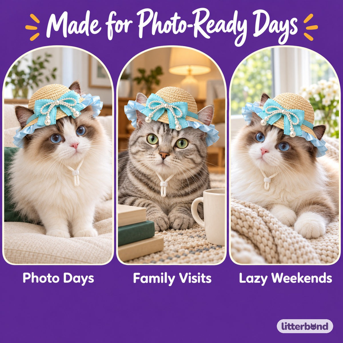 Pearl-Bow Ruffle Hat for Photos on a cat at home